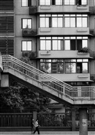 城市生存