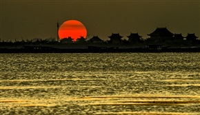夕阳红