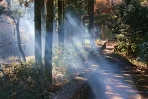 莫干山的早晨