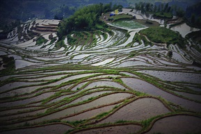 梯田风光