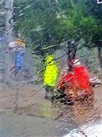 风雨中的美丽1