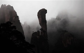 我的照片451，山中巨蟒