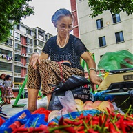 小区卖菜人