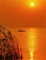 《夕阳红》