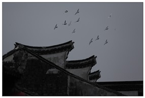 《老宅》