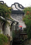 枫泾印象