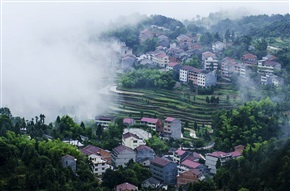 山村晨雾