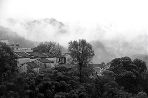小村晨早