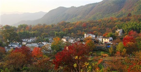 塔川秋色2