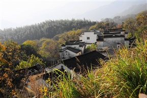 塔川秋色