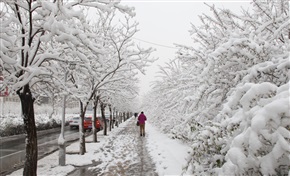 初春的雪