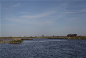 路