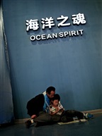《父子情深》