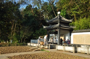 园林美容师