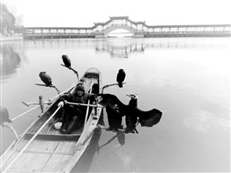 水乡渔歌