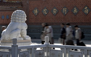 跨入成年的心愿