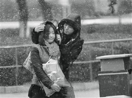 雪中情