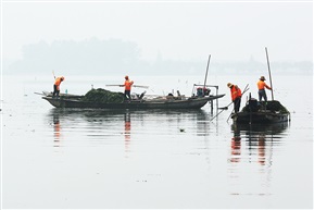 水乡美容师一