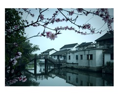 《春临歇马桥》