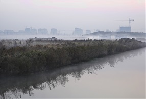 田野