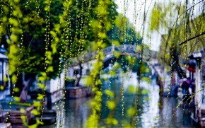 画春