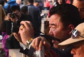 专业范
