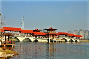 夏驾河风景