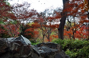 又一山