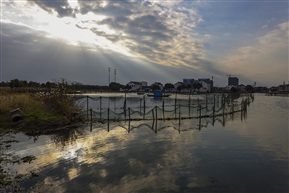 湖边的光景