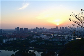 夕阳红