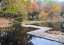 秋冬美景