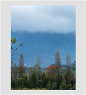 山村秋色