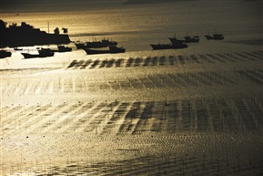东壁港湾