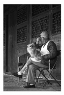 《老来伴》