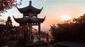 晨光