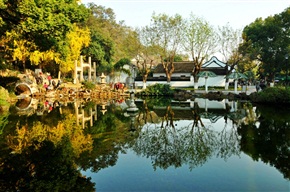 晨