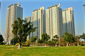 夏驾河风景