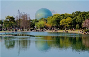 春色满园