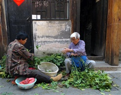 卖毛豆
