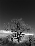 小景