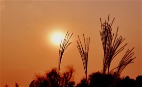 黄昏前光芒