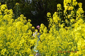 人与花
