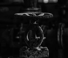 《岁月》
