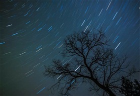 《夜》