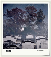 红枫