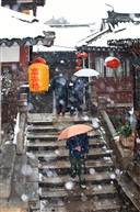 《古桥岁月》