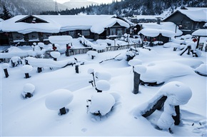 《雪的世界》