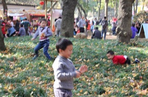 童趣