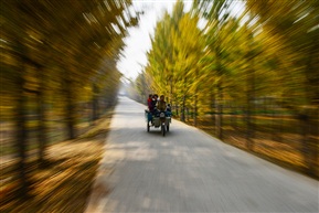 小康路上