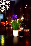 美妙的餐桌